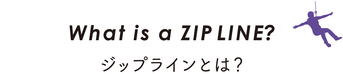 ジップラインとは？