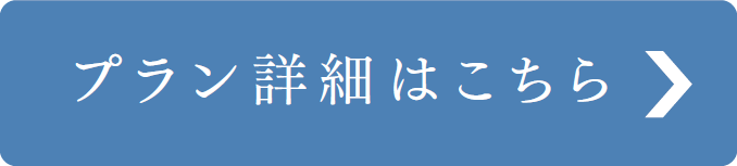 プラン詳細はこちら