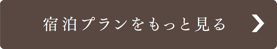 宿泊プランをもっと見る