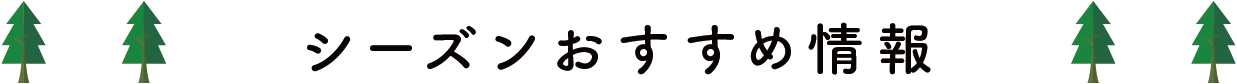 シーズンおすすめ情報