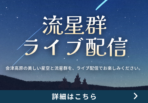 流星群ライブ配信